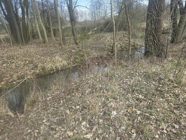 Działka budowlana Wiązowna