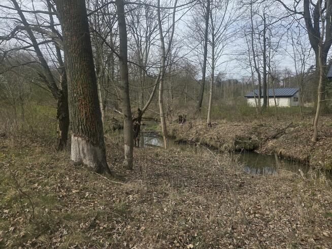 Działka budowlana Wiązowna