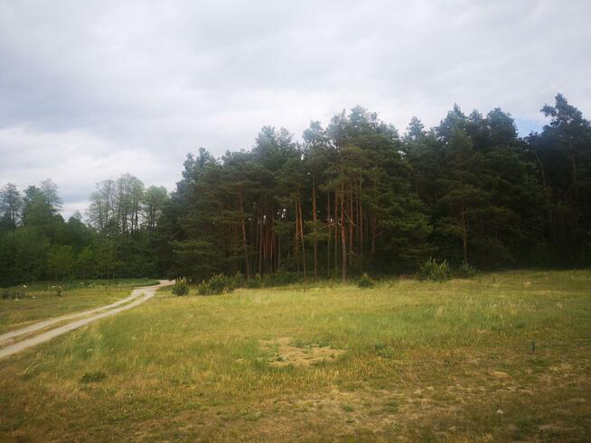 Działka Płazów gm. Narol