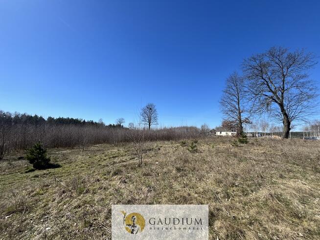 Działka pod budowę domu I 3104 m2 I gm. Lubichowo