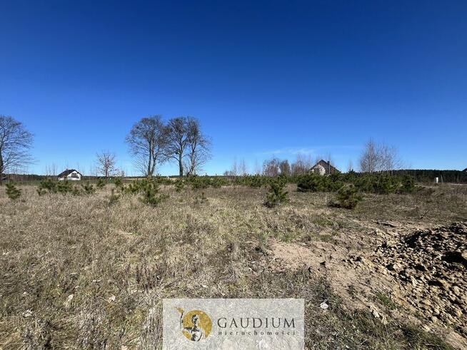 Działka pod budowę domu I 3104 m2 I gm. Lubichowo