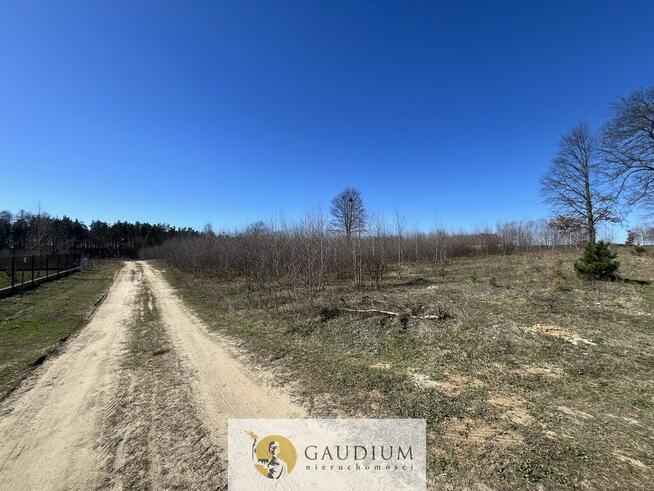 Działka pod budowę domu I 3104 m2 I gm. Lubichowo