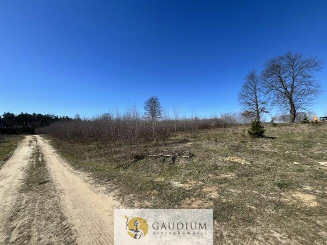 Działka pod budowę domu I 3104 m2 I gm. Lubichowo
