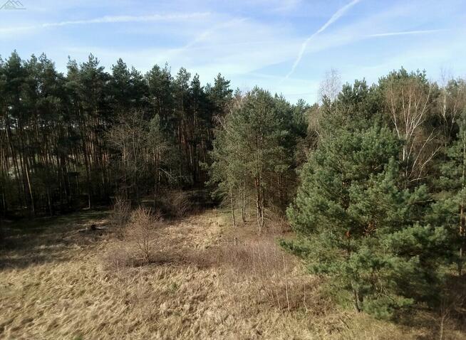 Działka budowlana Dąbcze gm. Rydzyna, Przy Zalewie