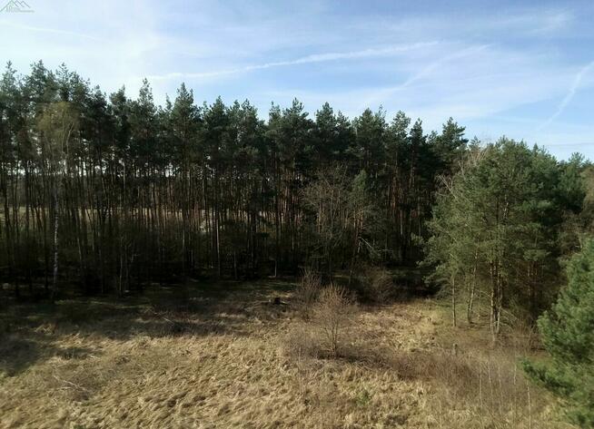 Działka budowlana Dąbcze gm. Rydzyna, Przy Zalewie