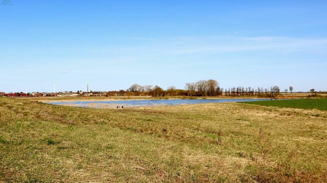 Działka budowlana Dąbcze gm. Rydzyna, Przy Zalewie