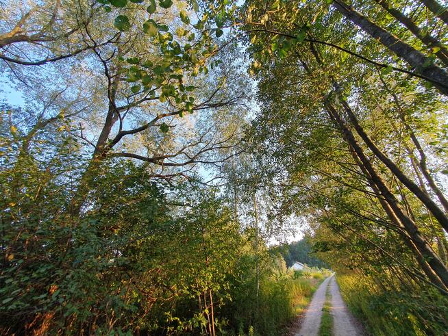 Działka budowlana Wiązowna