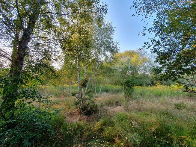 Działka budowlana Wiązowna