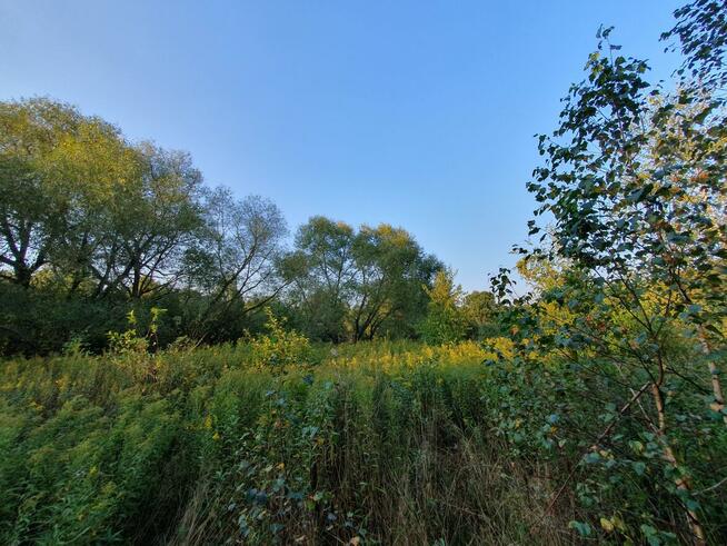 Działka budowlana Wiązowna