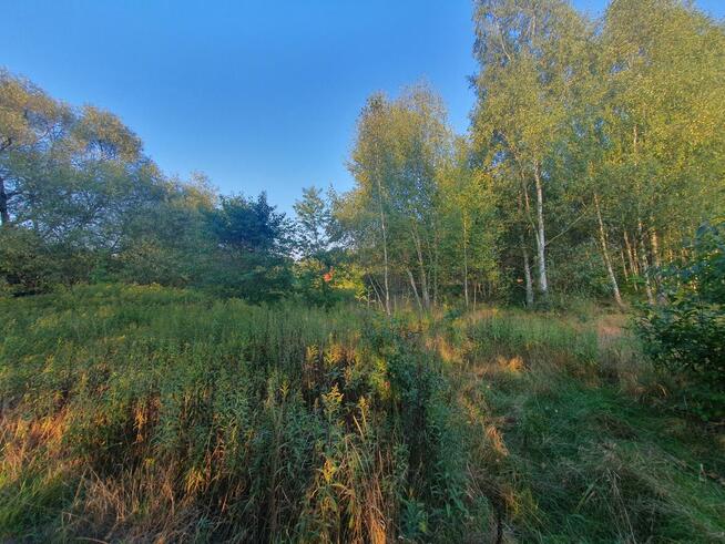 Działka budowlana Wiązowna