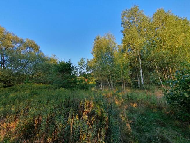 Działka budowlana Wiązowna