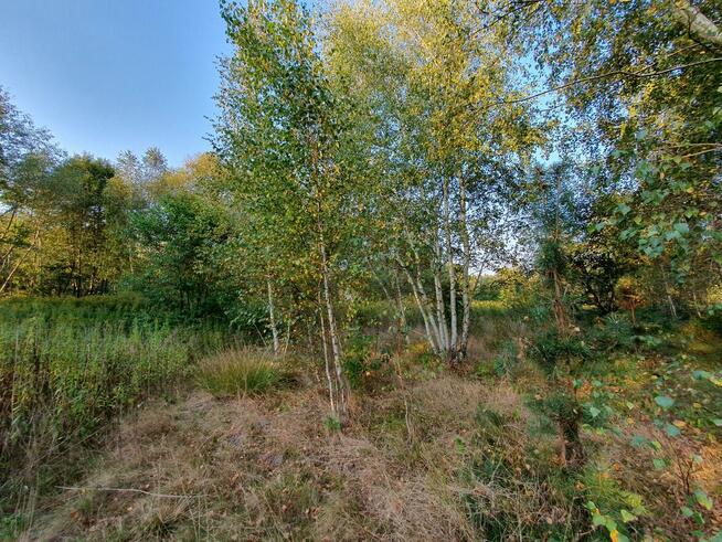 Działka budowlana Wiązowna