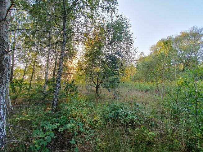 Działka budowlana Wiązowna