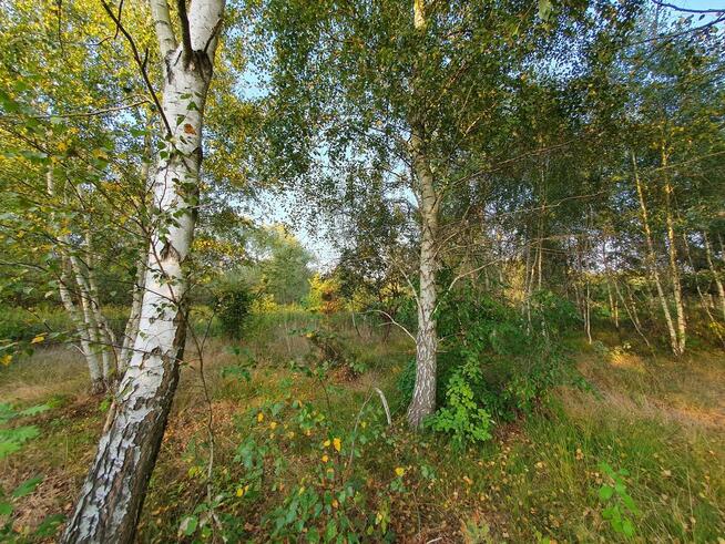 Działka budowlana Wiązowna