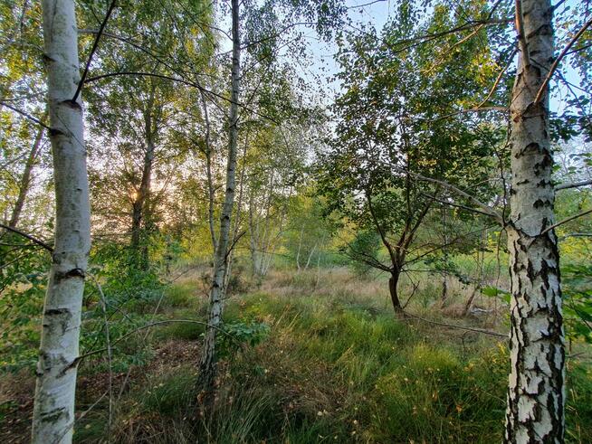 Działka budowlana Wiązowna