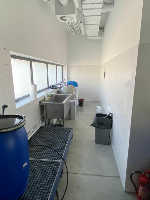 Lokal produkcyjny Wał Międzeszyński 131B