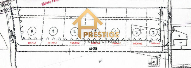 Na sprzedaż działki budowlane, Zaryń gm.Wierzbinek