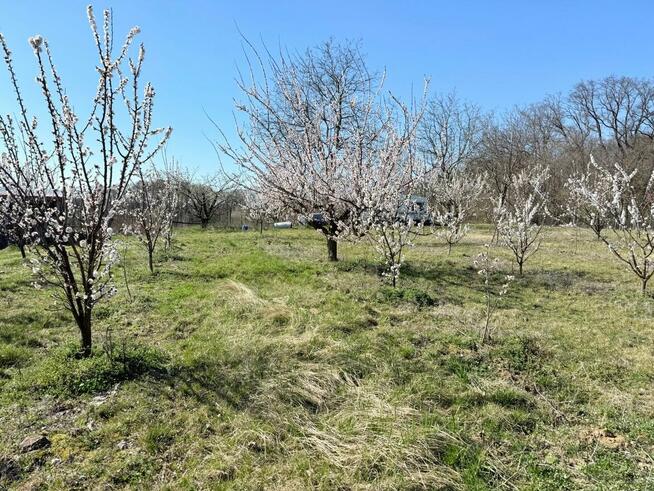 Działka siedliskowa 4344 m2, wydane WZ - Brochocin