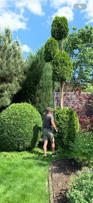 Usługi ogrodnicze / pielęgnacja ogrodów