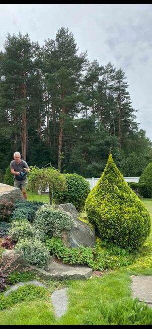 Usługi ogrodnicze / pielęgnacja ogrodów