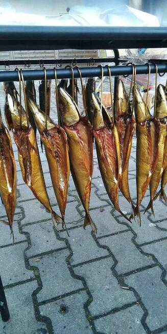 WĘDZARZ szuka pracy na sezon 2026 morze, góry