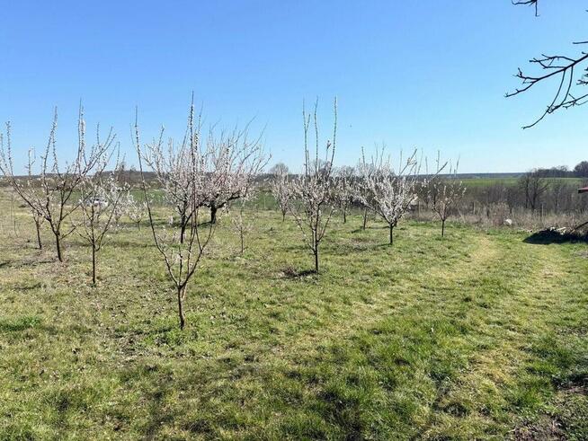 Działka siedliskowa 4344 m2, wydane WZ - Brochocin