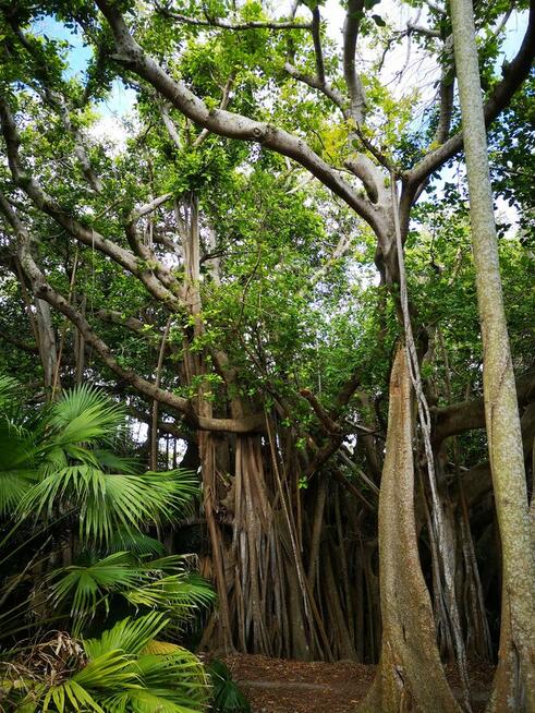 A może jakieś wspólne wakacje