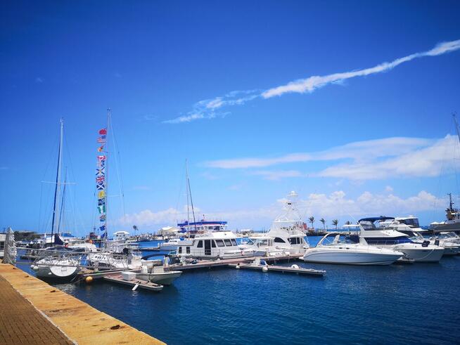 A może jakieś wspólne wakacje