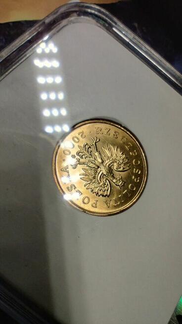 Odwrotka 5 groszy 2000 destrukt inwestycja numizmatyka