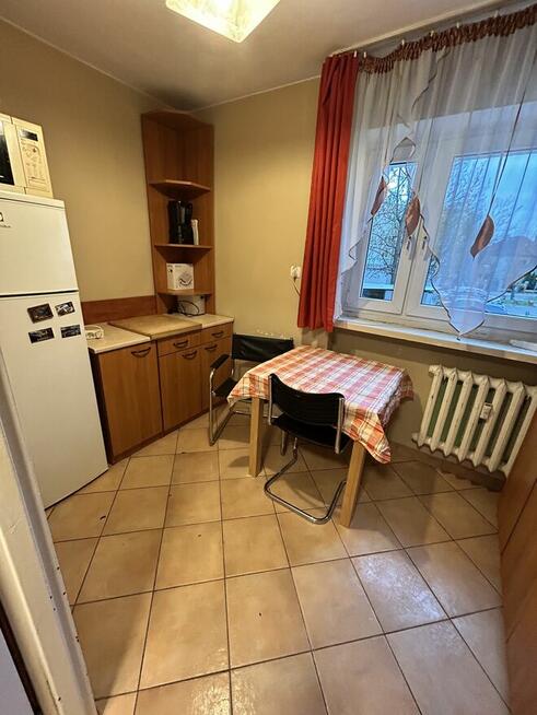 Wynajmę mieszkanie 50m2 w centrum Poznania na parterze