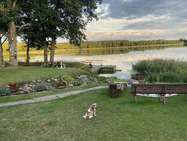 Dom w Augustowie z linią brzegową jeziora