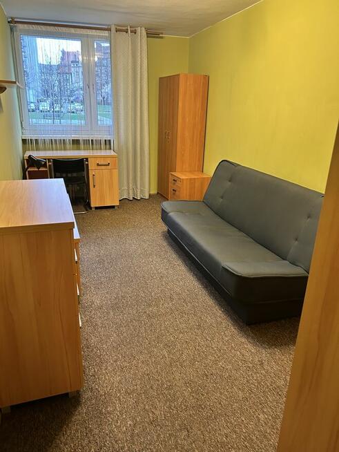 Wynajmę mieszkanie 50m2 w centrum Poznania na parterze