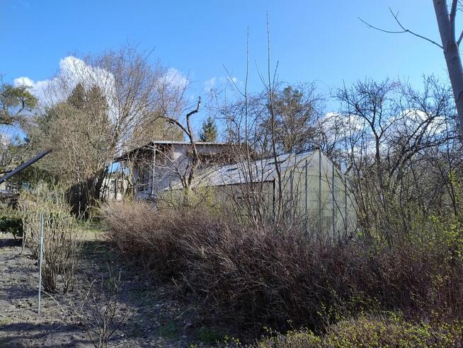 Działka ROD Reymont Śródmieście