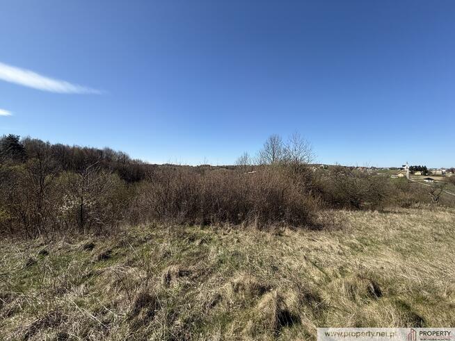 Działka widokowa 26.5 ar, Stasiówka, Dębica