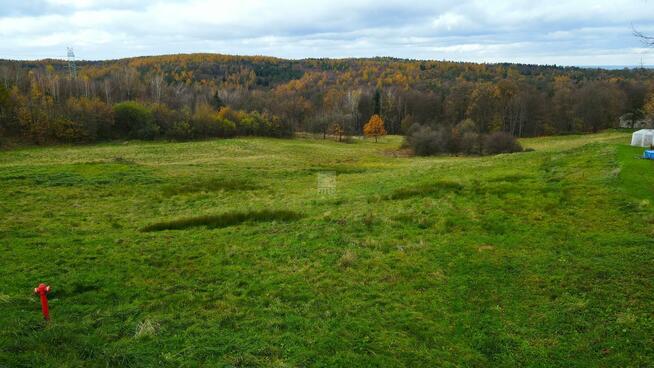 Działka budowlana Pogwizdów gm. Bochnia