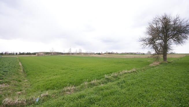 Działka rol-bud lub 2 mniejsze Zawieprzyce Kolonia