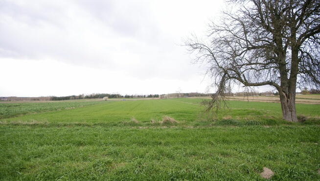 Działka rol-bud lub 2 mniejsze Zawieprzyce Kolonia