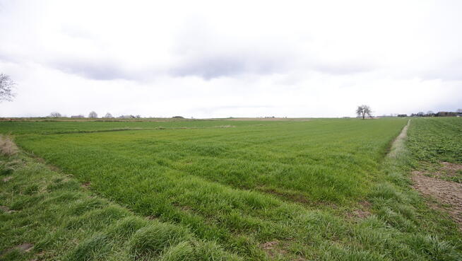 Działka rol-bud lub 2 mniejsze Zawieprzyce Kolonia