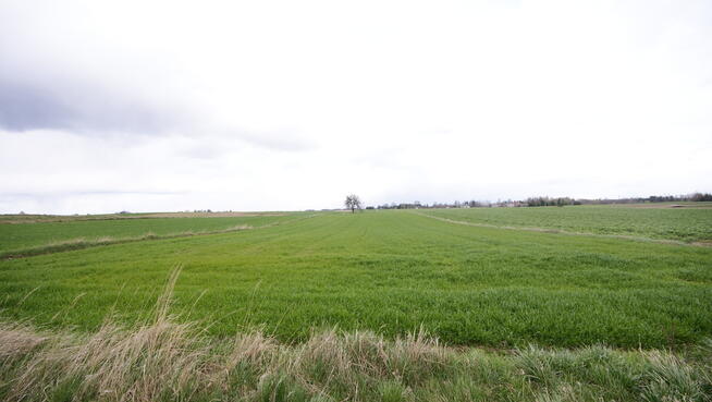 Działka rol-bud lub 2 mniejsze Zawieprzyce Kolonia