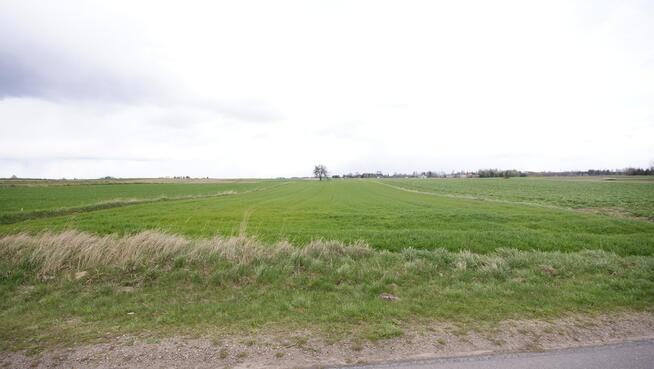 Działka rol-bud lub 2 mniejsze Zawieprzyce Kolonia