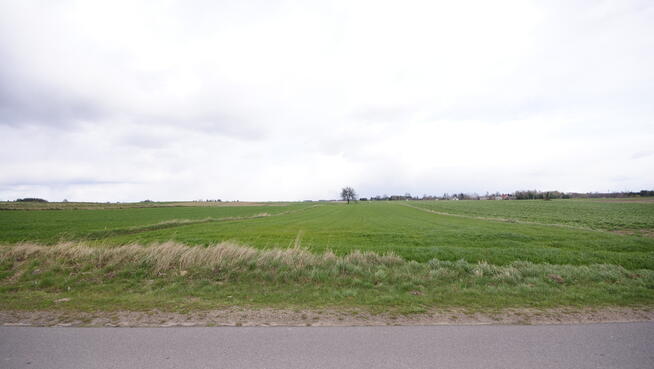 Działka rol-bud lub 2 mniejsze Zawieprzyce Kolonia