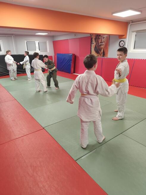 Judo - zajęcia dla dzieci.