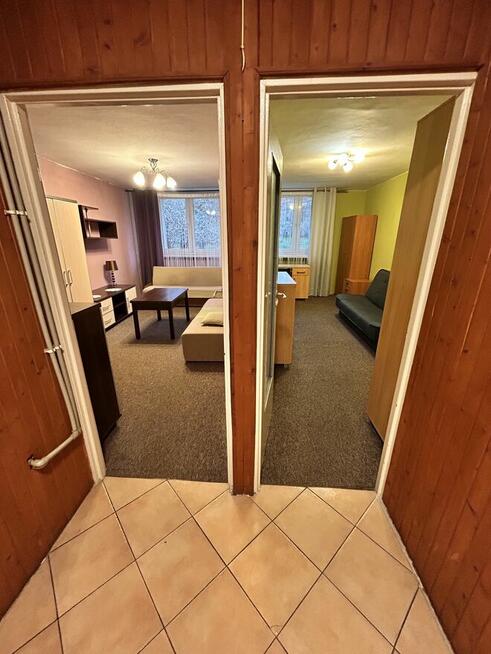 Wynajmę mieszkanie 50m2 w centrum Poznania na parterze