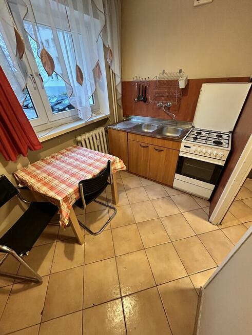 Wynajmę mieszkanie 50m2 w centrum Poznania na parterze