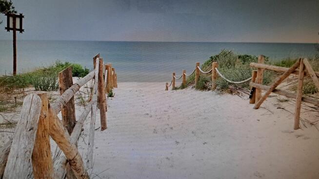 działka 2szt rolne2400m2 Białogóra /Dębek700m morze