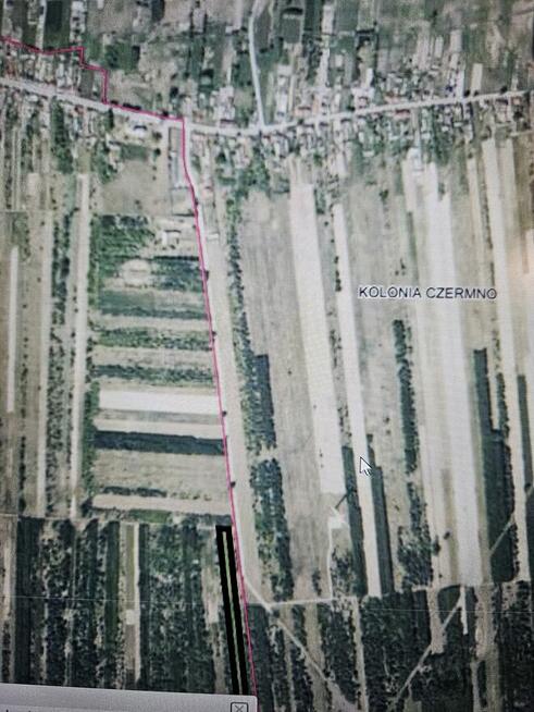 Sprzedam działkę rolną w Czermnie 1,56 ha gm. Fałków
