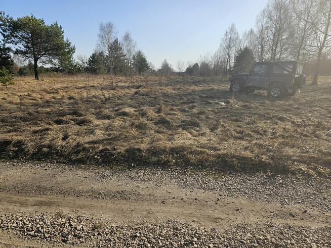 Sprzedam działkę rolną w Czermnie 1,56 ha gm. Fałków