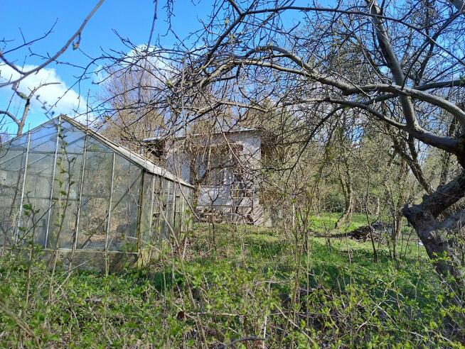 Działka ROD Reymont Śródmieście