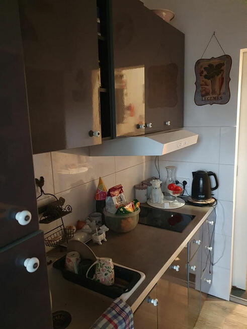 Wyjątkowa zalesiona działka ROD z całorocznym domem Poznań