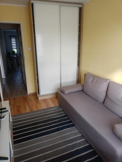 Pokój jednoosobowy do wynajęcia.